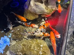 -东海怡品海鲜豆捞(舟宿夜江店)