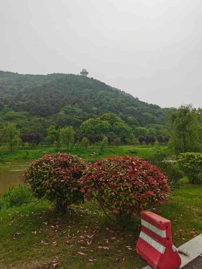无想寺森林公园-"挺喜欢的地方环境比较好风景也不错最.