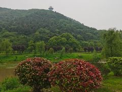 -南京市无想山景区