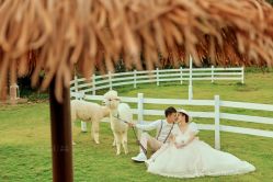 点击看大图 -太古映画婚纱摄影(天河店)