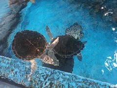 -成都浩海立方海洋公园