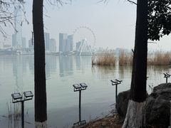 -金鸡湖桃花岛