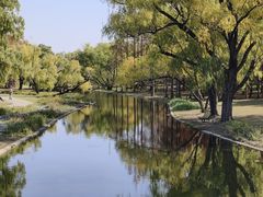 -上海共青森林公园