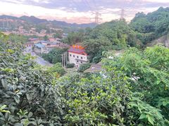 -巴倒烫陆派火锅山庄(南山总店)