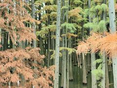 -青山湖景区