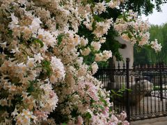 -元大都城垣遗址公园