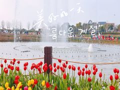 -花博汇(知音花月夜)