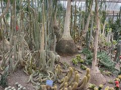 -南山植物园