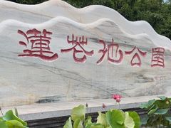 -莲花池公园