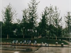 -天鹅湖体育公园