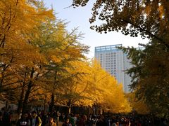 -辽宁大学(崇山校区)