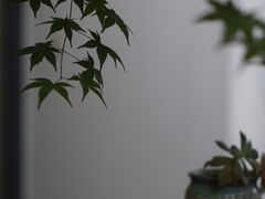 -凤凰御元艺术基地