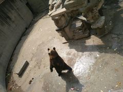 -保定市动物园