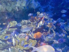 -海合安成都极地海洋公园