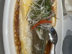 -大锅强·蒸海鲜青岛菜(金沙滩店)