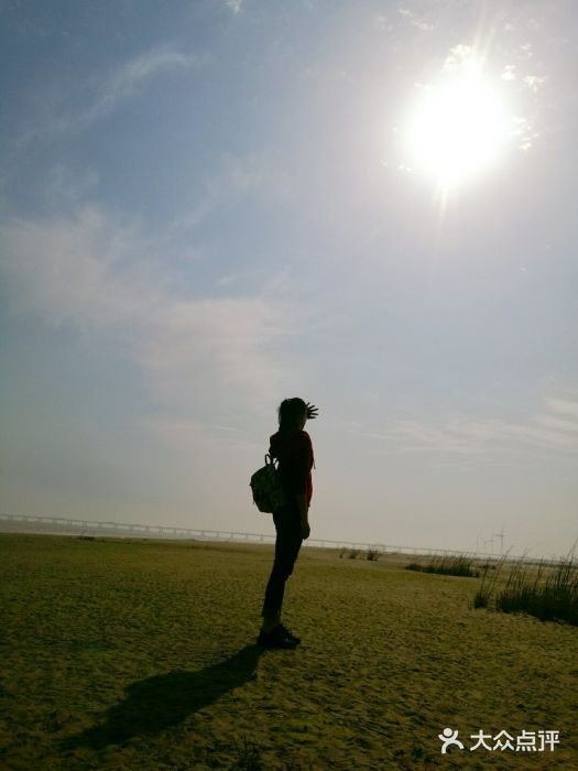 南汇嘴观海公园图片