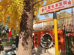 -三里屯东五街银杏大道