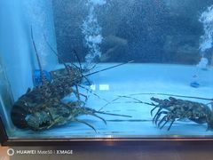 -海泰食府(北京总店)