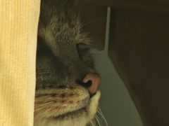 -青藏高原野生动物园