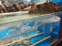 -大铁勺新津菜(东丽阳光新业广场店)