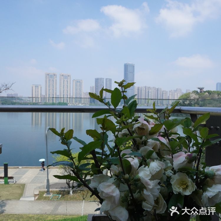 梅溪湖畔，中西盛宴——长沙市19号中西餐厅