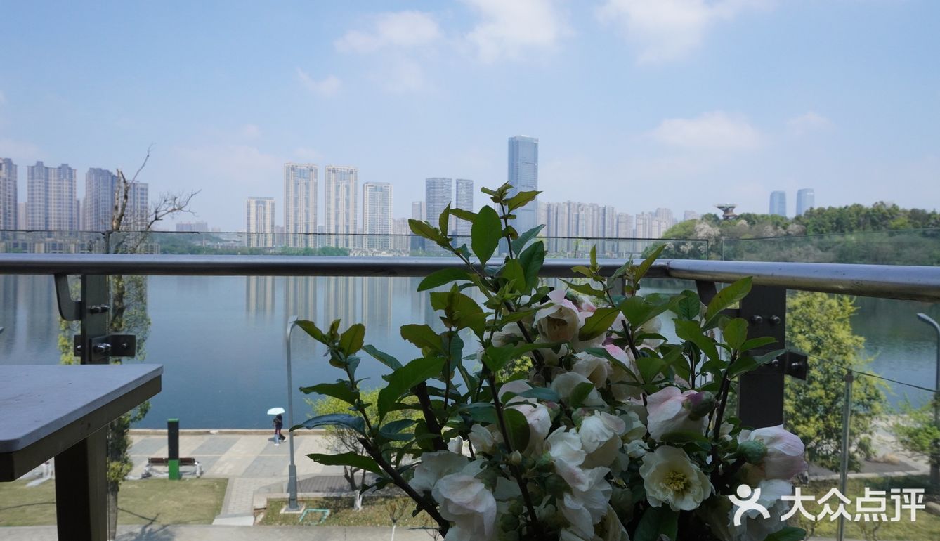 梅溪湖畔，中西盛宴——长沙市19号中西餐厅