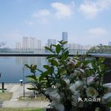 梅溪湖畔，中西盛宴——长沙市19号中西餐厅