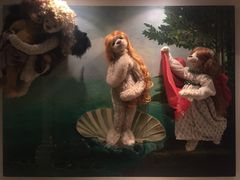 -济州岛泰迪熊博物馆