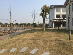 -明珠湖天鹅苑·农家菜馆