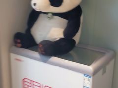 -眉州东坡(望京店)