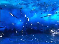 景点-天府芙蓉园