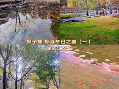 -徐家汇公园