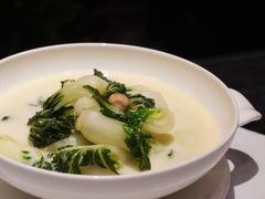 白菜仔-东富酒家(龙湖西溪天街店)