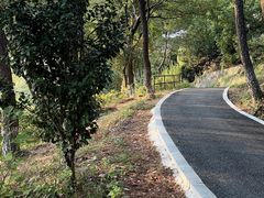 -平湖九龙山旅游度假区