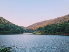 -桃花岭景区