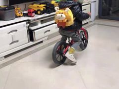 -星动计划儿童运动馆(闵行乐虹坊店)