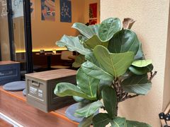 -E SPECIAL COFFEE 别样