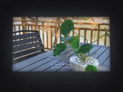 -花锦堂·隐庐
