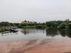 -黑瞎子岛探秘野熊园