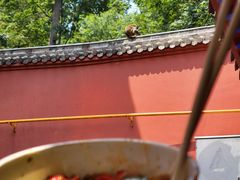 -黔灵山公园