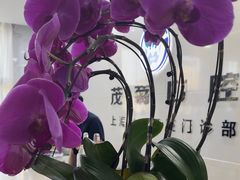 -茂菊口腔连锁(浦东南路店)