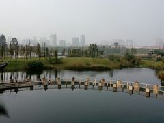 -眉山湿地公园(东坡区)