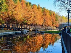 -白水寺森林公园