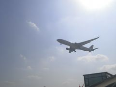 -空港花田景区
