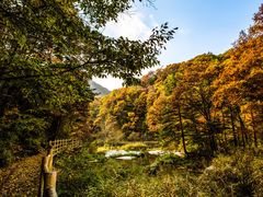 -洛阳白云山景区