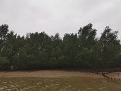 -东寨港红树林旅游区