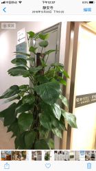 -轻妆Feel·半永久纹眉眼线