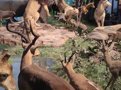 -国家自然博物馆