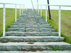 -佛手湖郊野公园