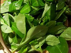 -大头椰·椰子鸡火锅(南宁万象城店)